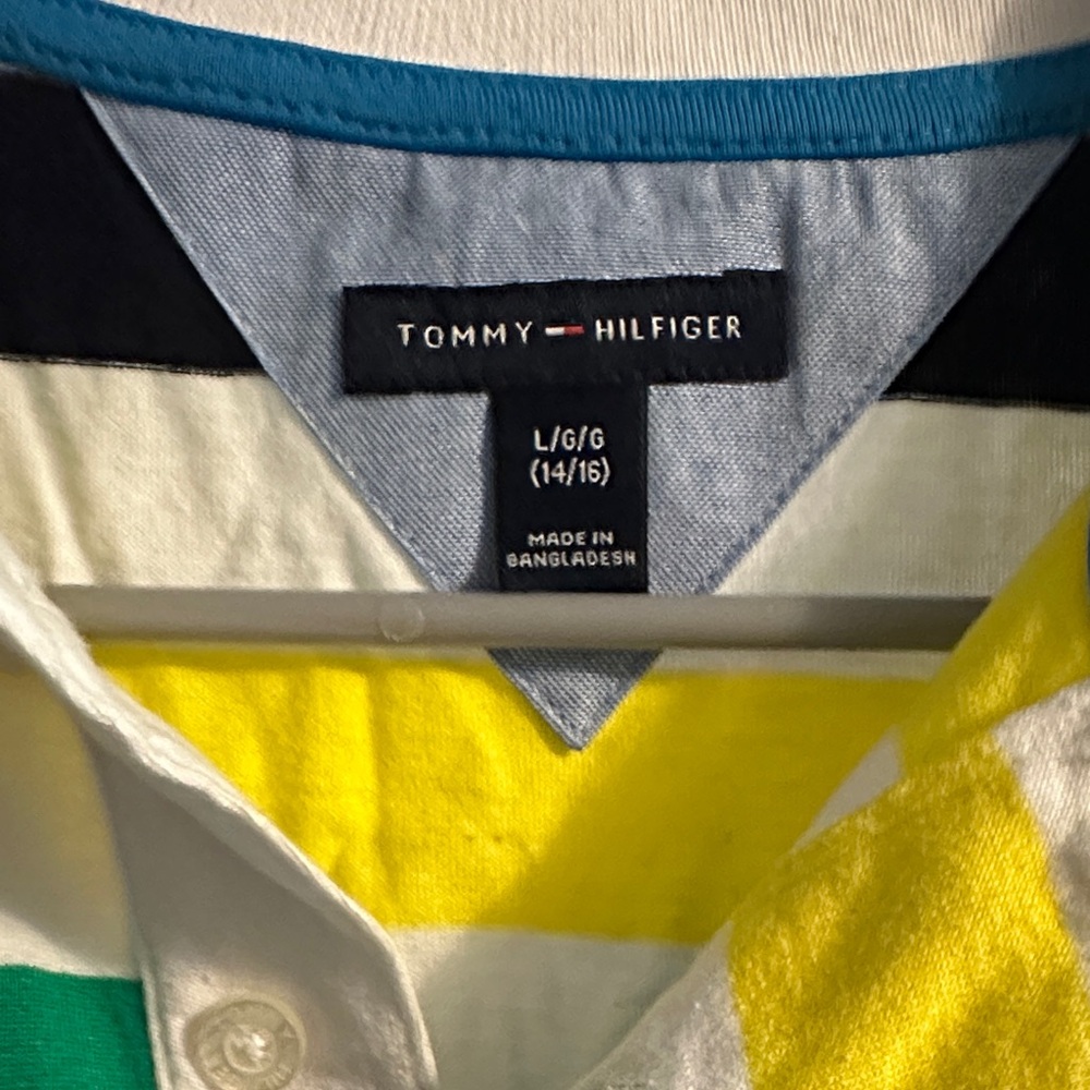 Tommy Hilfiger Multicolor Striped Polo